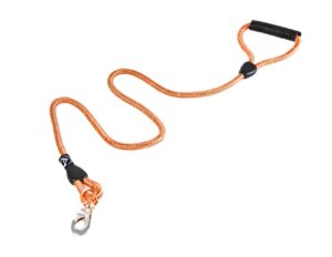 Hondenriem Oranje