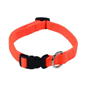 Halsband signal oranje