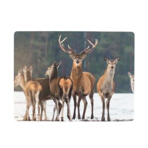 Placemats herten in de sneeuw/4st