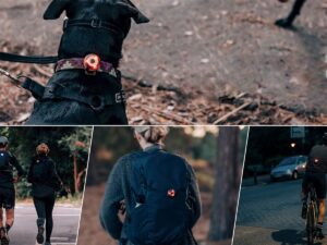 Olight Gober