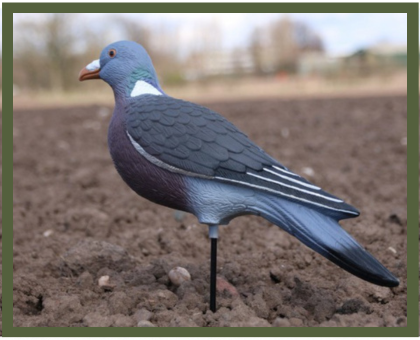 Lokfluiten & Decoys