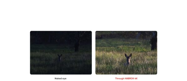 Hikmicro Habrok 4K HE25LN binocular 940nm thermal & optical image