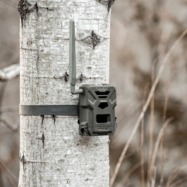Spypoint Flex E-36 Twin Pack