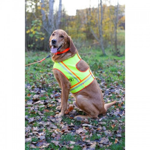 Honden Veiligheidsvest fluorescerend