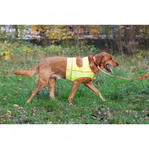 Honden Veiligheidsvest fluorescerend