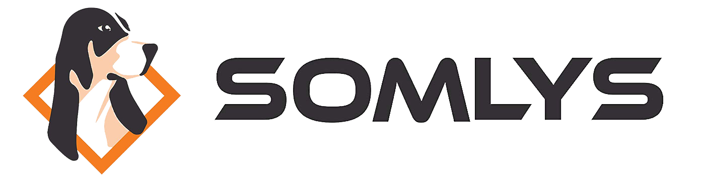 Somlys